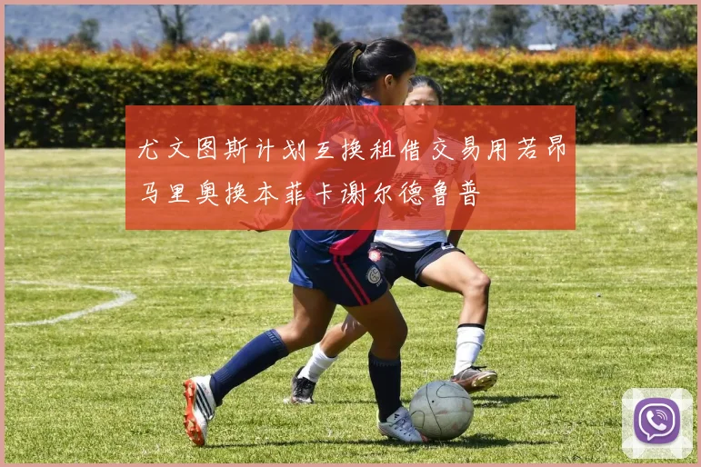 尤文图斯计划互换租借交易用若昂马里奥换本菲卡谢尔德鲁普