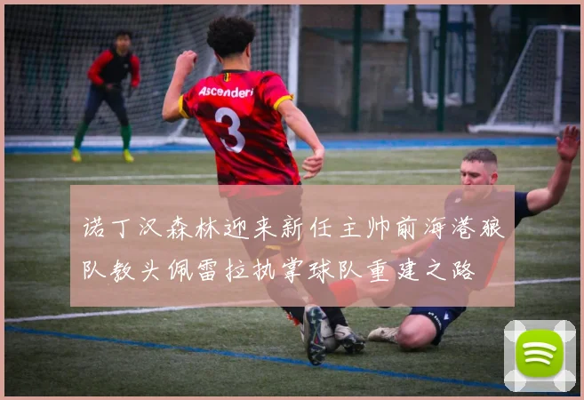 诺丁汉森林迎来新任主帅前海港狼队教头佩雷拉执掌球队重建之路